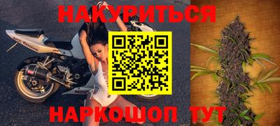сатива Малгобек