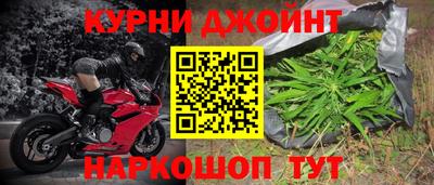 сатива Малгобек
