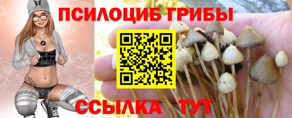 что такое   Вход с VPN  Северск  Галлюциногенные грибы ЛСД 