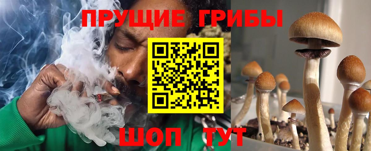 Галлюциногенные грибы Magic Shrooms Северск